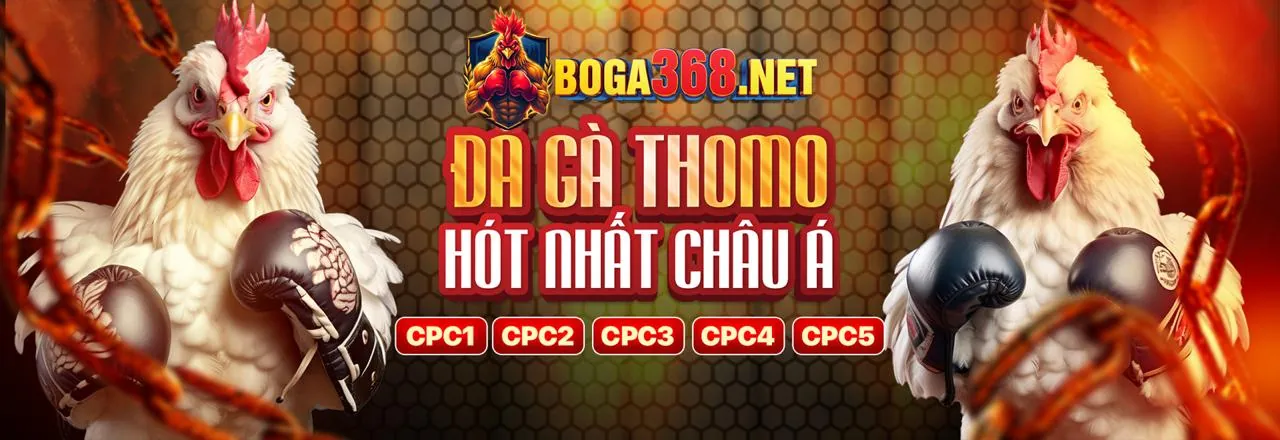 Đá gà trực tuyến kịch tính tại xin88 trang chủ chính thức